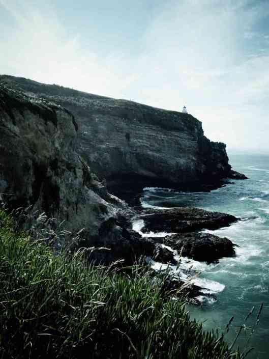 Taiaroa Head Lighthouse