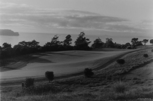 Gold Course B&W