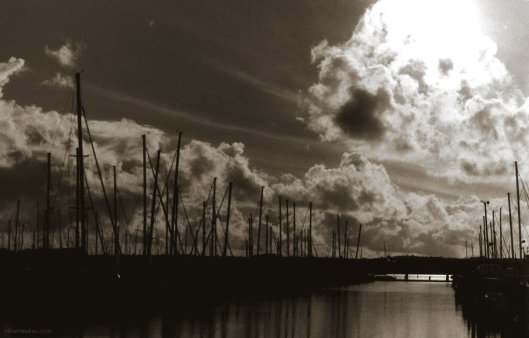 My beautiful picture