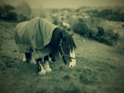 afterfocus_1352091523776.jpg image