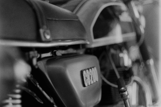 My beautiful picture