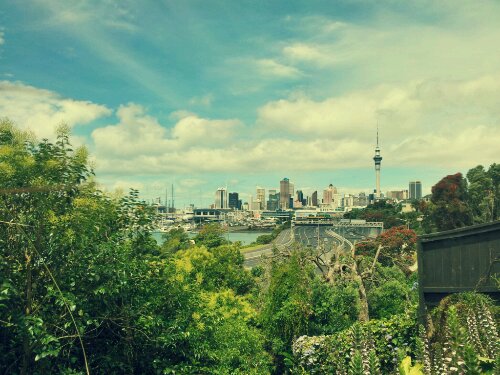 afterfocus_1355623406783.jpg image