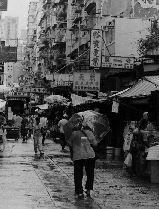 My beautiful picture