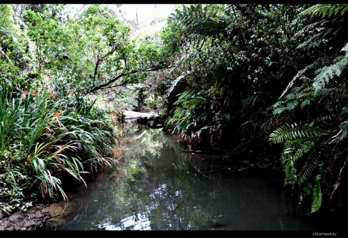 Feeding the Harbour.jpg image
