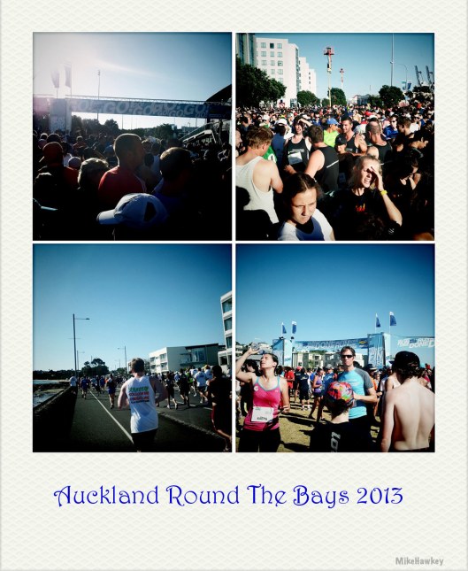 Round the bays