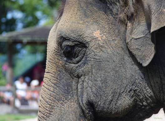 Zoo