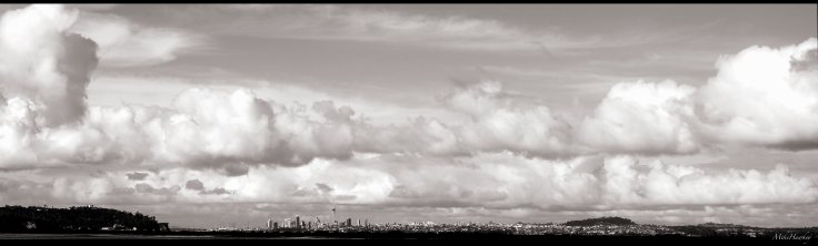 Auckland from afar