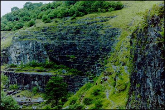 My beautiful picture
