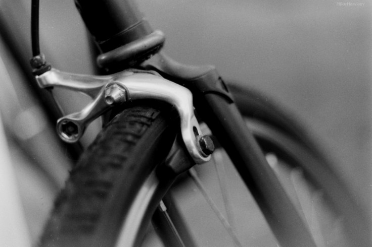 My beautiful picture