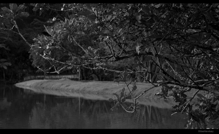 The Path to the Side