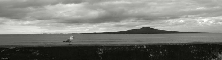 Seagull and the Island