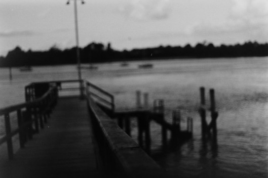 My beautiful picture