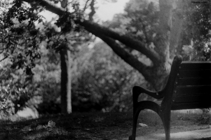 My beautiful picture