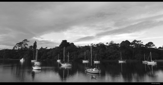 View from Herald Island