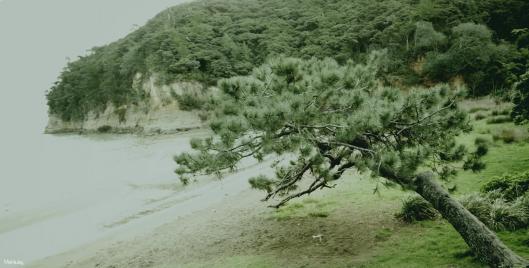 Just before the Rain