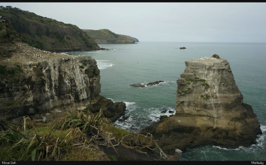 Muriwai South