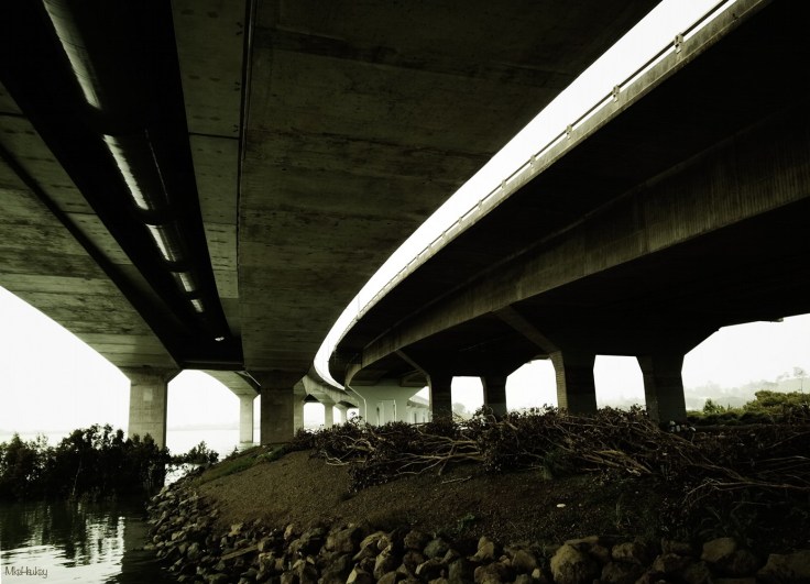 Bridge over Troubled Waters