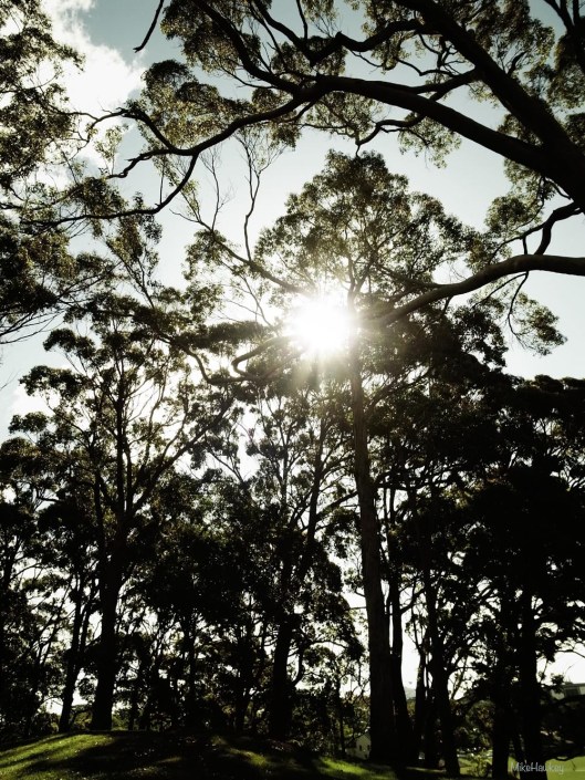 No hiding from the Sun