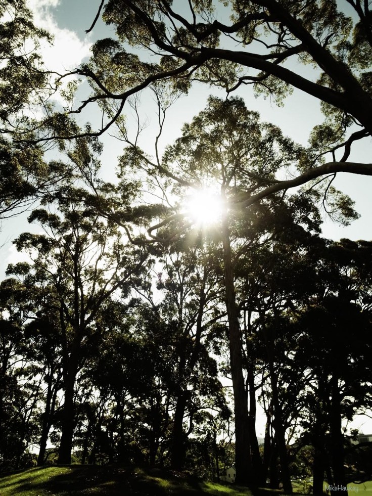 No hiding from the Sun