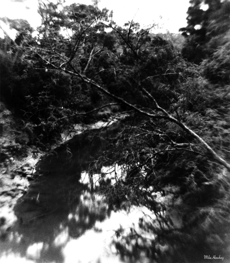 My beautiful picture