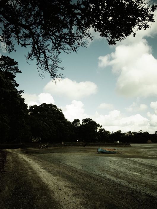 The Sea has Abandoned Me