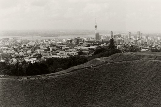 My beautiful picture