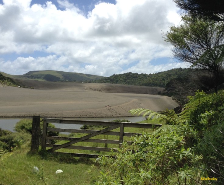 Fence to the Dunes