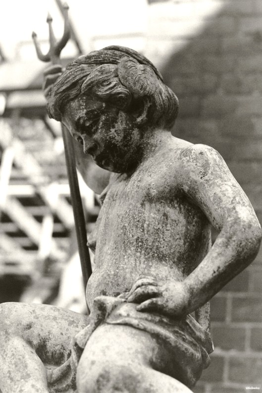 My beautiful picture