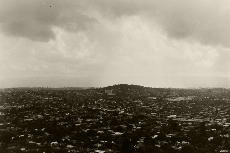 My beautiful picture