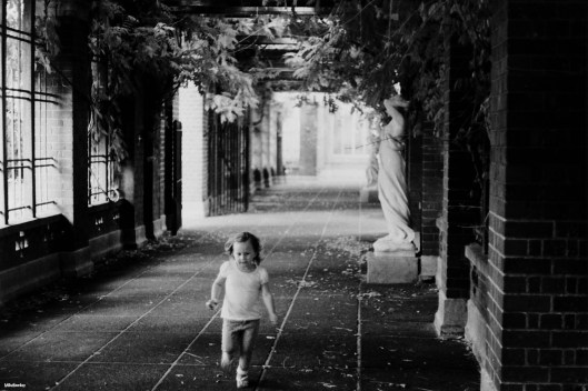 My beautiful picture