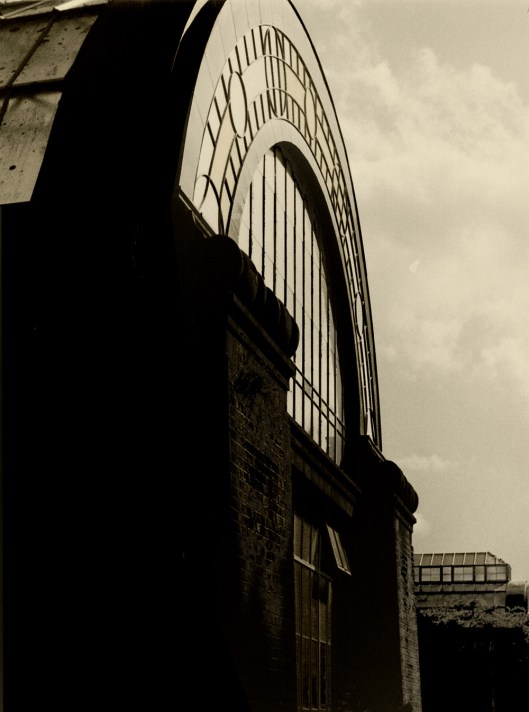 My beautiful picture