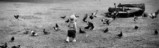 My beautiful picture