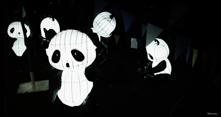 Panda's in a Nightclub