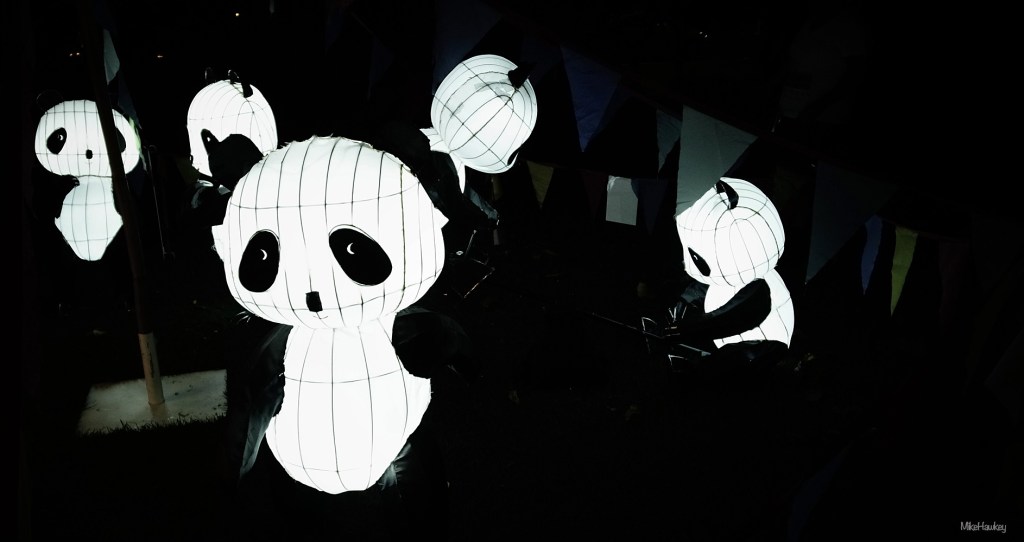 Panda's in a Nightclub