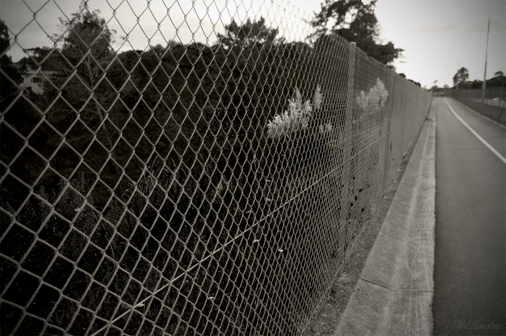 The fence that stops