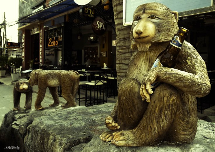Drinking Monkeys
