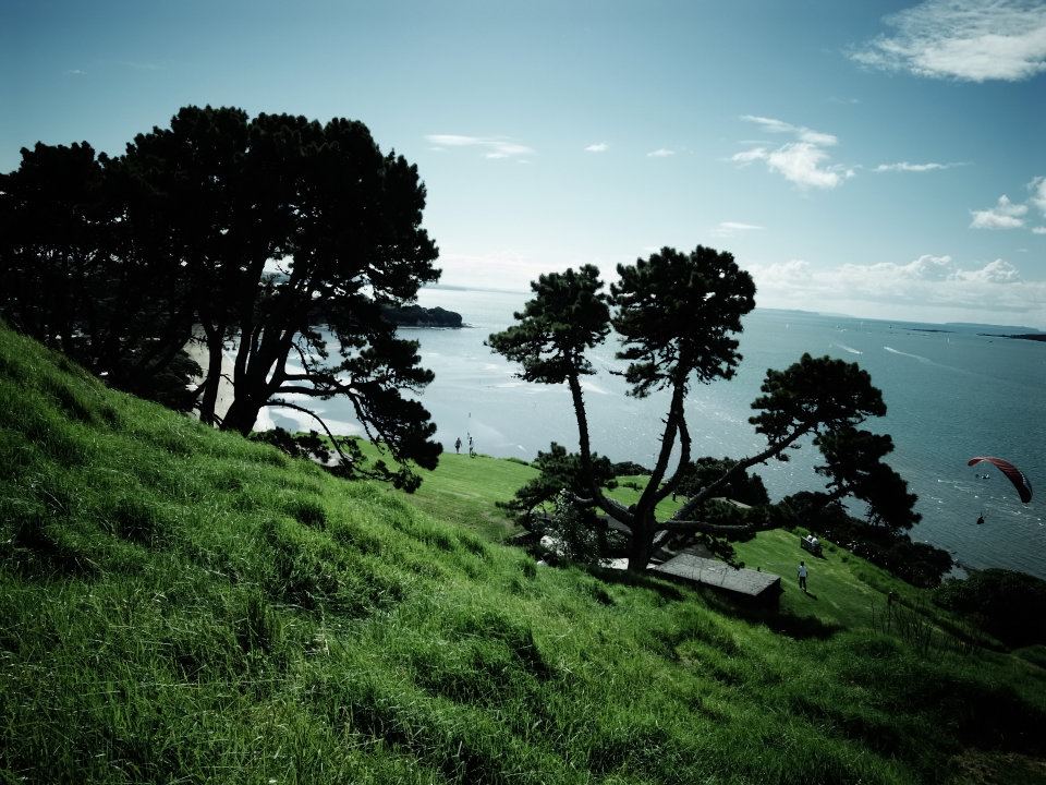 523680_10151497075825271_291074399_n