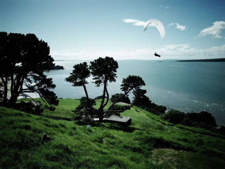 541842_10151497075590271_781580880_n