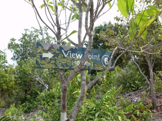 view point 5