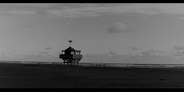 My beautiful picture