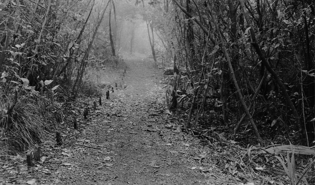 My beautiful picture