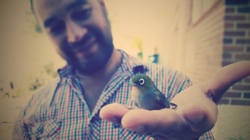 afterfocus_1426299954692