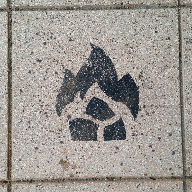 20151213_091856_resized_1