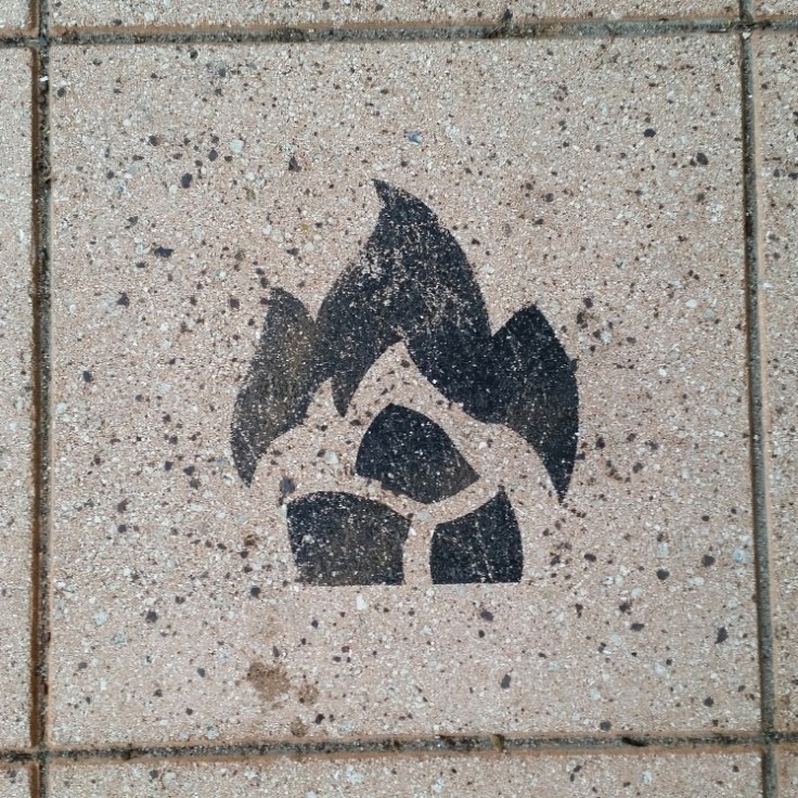 20151213_091856_resized_1